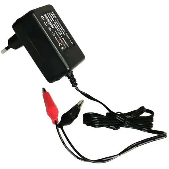 Incarcator Ted Vrla Agm 12v 1a, Black