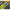 Inele Elastice Matrix Bait Bands Medium