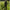 Jacheta Impermeabila Nash Zt Extreme Waterproof Jacket Camo, Marime M