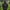 Jacheta Impermeabila Nash Zt Extreme Waterproof Jacket Camo, Marime Xl