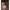Jacheta Korda Insulated Hooded, Darke Olive, Marime S