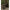 Jacheta Korda Insulated Hooded, Darke Olive, Marime S