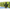 Jacheta Korum Thermashell Jacket, Green-black, Marimea Xl