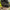 Jacheta Nash Zt Helluva 3 In 1 Waterproof Jacket Camo, Marime Xl