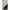 Jacheta De Ploaie Daiwa Goretex Rain, Gray, Marime M