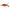 Jig Streamer Sakura R Bucktail 14gr Fire Tension