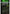 KORDA KIT LEADCLIP ACTION SILT