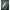 Kit Fox Rage Predator Twin Treble Pop Up Traces, Size 4, 40lb, 1buc/pac