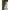 Kit Montura Helicopter Fox Edges Naturals Leader Beads, 8buc/pac