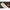 Kit Pva System Carp Expert 4 Season, 35mm, 5m
