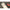 Kit Pva System Carp Expert Micro Mesh 25mm, 5m