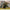 Kit Trakker Gazebo Door Pole Kit