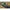 Kit Montura Korda Cog Boom Flat Pear, 4oz/5oz