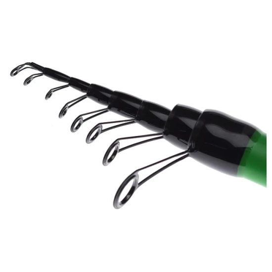Lanseta Bologneza Pro Fl Master Elite 5.00m 5-30g