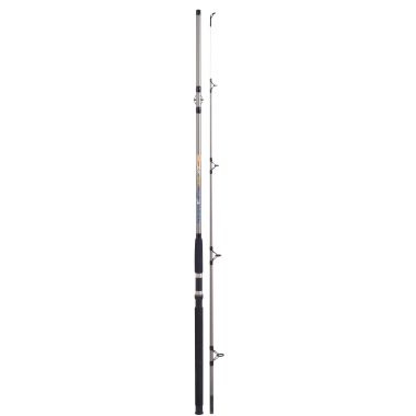 LANSETA COLMIC NESSY SILURO XF300 2.40M 300GR 2SEG