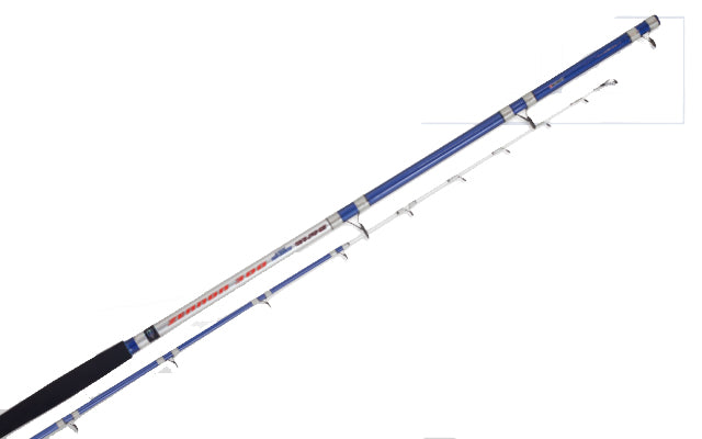 LANSETA COLMIC ZENNON 2.70M 100-500GR