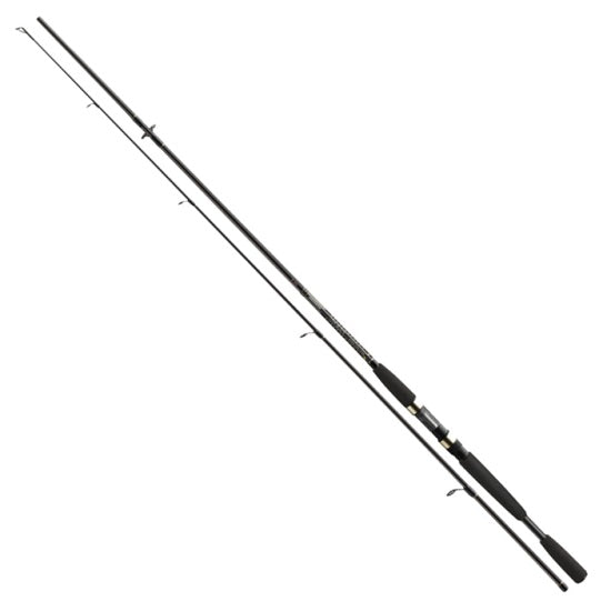 LANSETA CORMORAN I COR BLACK  2.40M  10 40G  2SEGMENTE