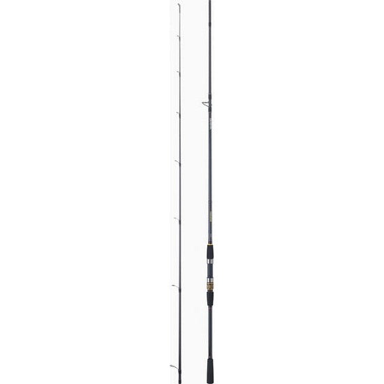 LANSETA DAIWA 2BUC.PROCASTER A 602LFSE BX 1,83M/3-10G