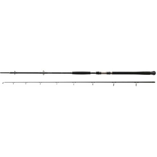 LANSETA DAIWA EXCELER CATFISH 2.70M 200-600G 2SEG