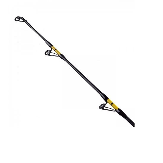 Lanseta Fl Catfish Passion Pro 2.10m 300-600g