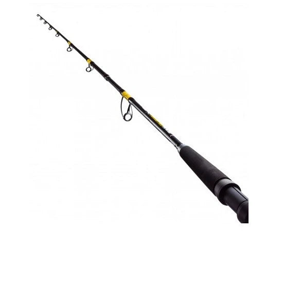 Lanseta Fl Catfish Passion Pro 2.40m 300-600g