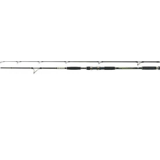 LANSETA JAXON ANTRIS HTI CATFISH SPIN 2.70M 50-120GR