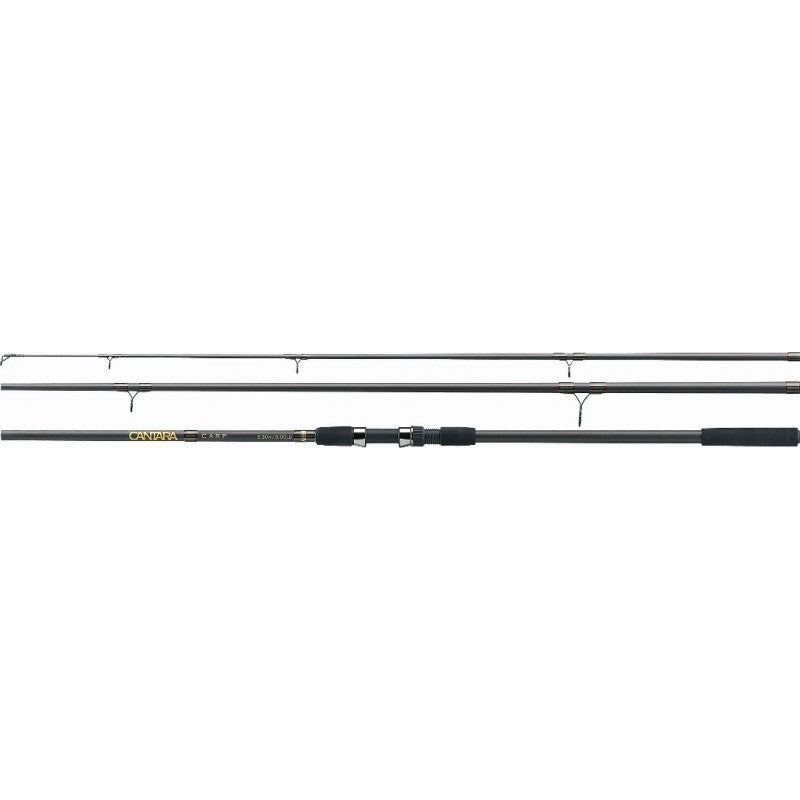 LANSETA JAXON CANTARA CARP 3.60M 3.5LB 2SEG