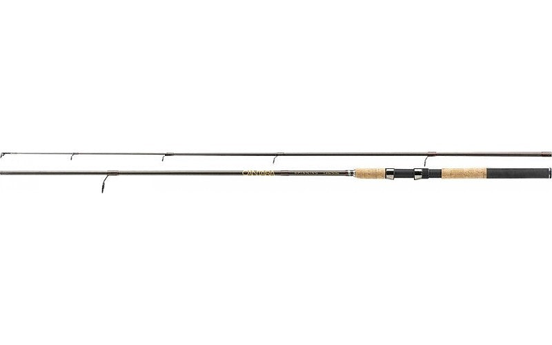 LANSETA JAXON CANTARA SPINNING 3.00M 60GR 2SEG