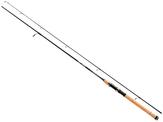 LANSETA JAXON ETERNUM SPINNING 3.00M 10-40GR