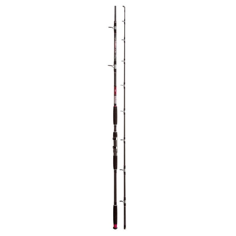 LANSETA JAXON EXTERA CAT FISH 2.55M 2SEG 500GR