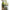 Lanseta Korum Opportunist X 8ft 2lbs 2.45m 30-120g 2seg