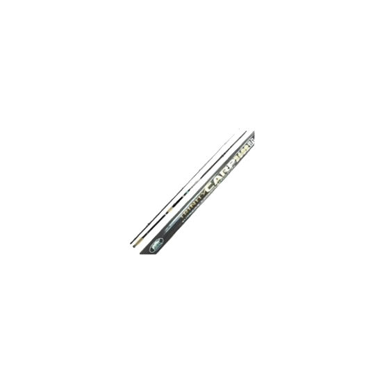 LANSETA LINEAEFE TRINITY CARP 3,60M/3LBS 2SEG