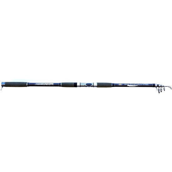 LANSETA LINEAEFFE TELESCOPICA BLACK ARMOR 3,60M/150G