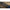 Lanseta Preston Distance Master 12ft 3.66m 80g 3+3seg