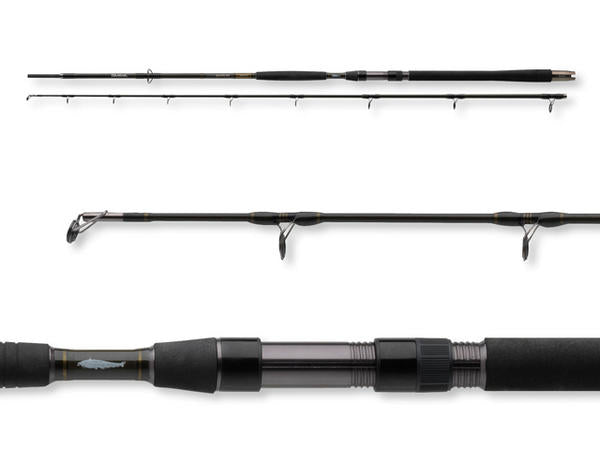 LANSETA SOMN DAIWA EXCELER CATFISH 2.70M/200-600G/2Seg