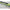 LANSETA TRABUCCO QUASAR DEEP SENSOR 2.70m 250gr