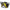 LANTERNA BICICLETA LED LENSER SEO B3 LEMON 100LM