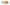 LANTERNA CAP LED LENSER NEO ORANGE 90LM 3XAAA