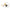 Landk Winged Jig Marimea S 9 Gr