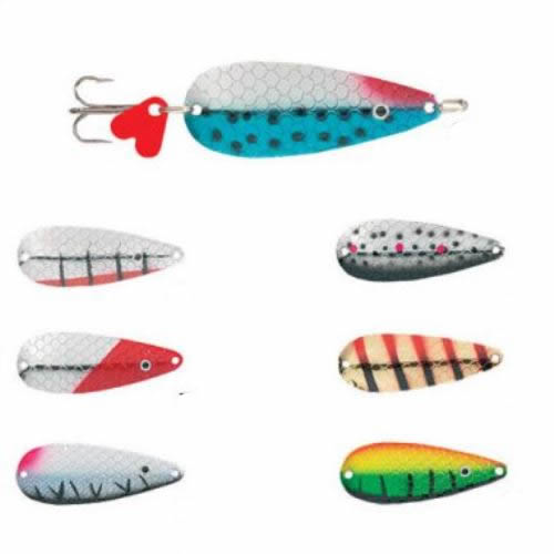 LINGURA JAXON ALGON 1A 12GR