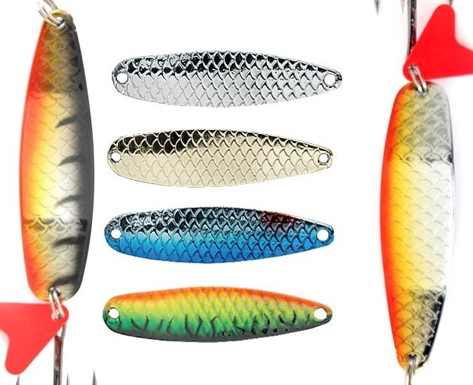 LINGURA JAXON HR OSTA 1B 14GR