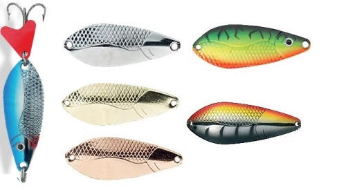 LINGURA JAXON HR VECTRA 3F 23GR