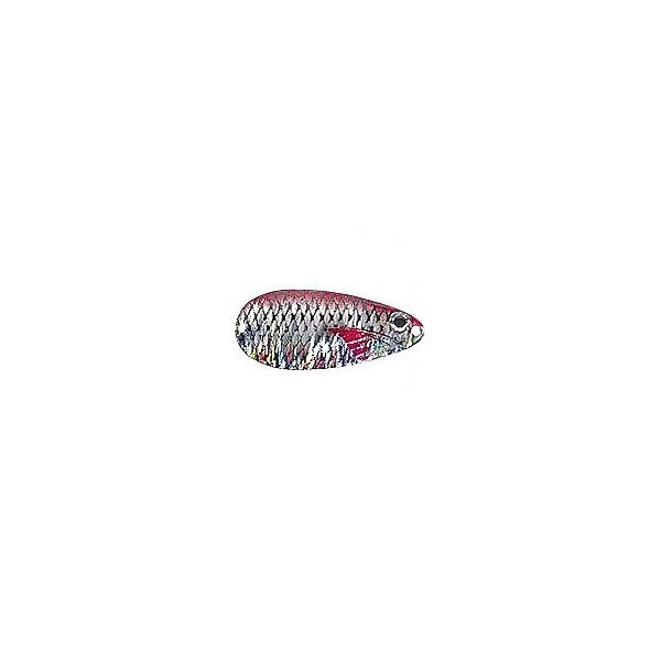 LINGURA JAXON KARAS SCOT 3K 24GR