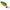 Lingurita Oscilanta Jaxon Hr Atlas 3d 17gr