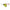 LINGURITA ROTATIVA CORMORAN BULLET NEO NR2 4G YELLOW