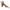 Lingurita Rotativa Palms Spin Walk Qr Gmg 2.9g
