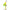 LINGURITA ROTATIVA SAVAGE CAVIAR NR.3 FLUO YELLOW CHART 9.5G