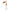 Lingurita Zebco Trophy Z-river No. 5 Gold/red 17g
