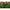 Lanseta Avid Revolve Carp, 3.00lbs, 3.60m, 3seg