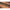 Lanseta Benzar Concourse Method Feeder Light, 3.60m, 20-75g, 3+4 Seg
